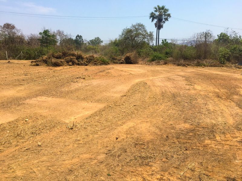 Cleared Land with Smooth Surface