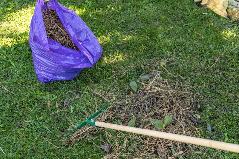 Before Land Clearing