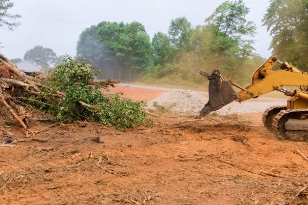 Cost of Forestry Mulching Service in Cincinnati