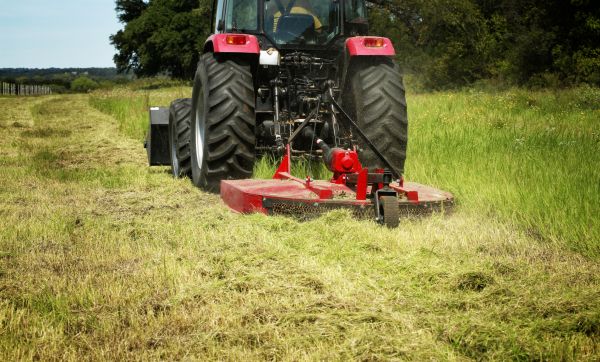 Cost of Brush Clearing Service in Cincinnati