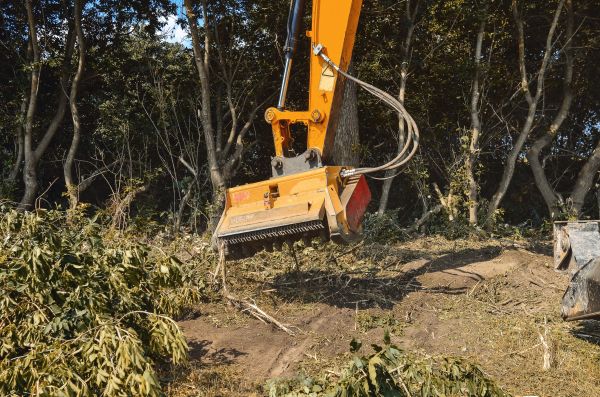Cost of Brush Removal Service in Cincinnati