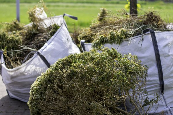 Cost of Bushes Clearing in Cincinnati
