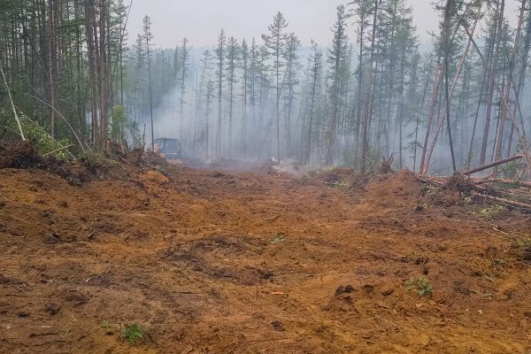 Cost of Hill Clearing in Cincinnati