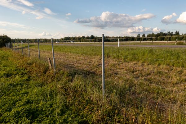 Cost of Property Line Clearing in Cincinnati