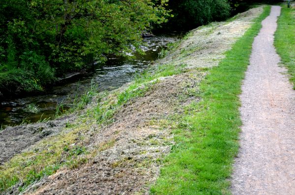 Cost of Trail Cutting in Cincinnati